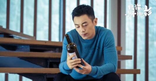 《赖猫的狮子倒影》先婚后爱实为天降竹马 抓马剧情环环相扣